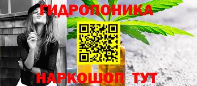 спайс Обь