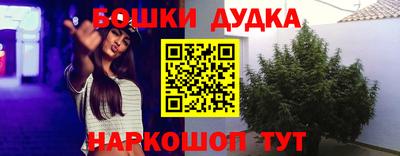 спайс Обь