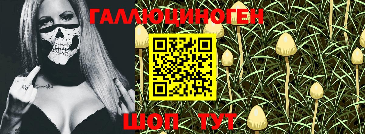 Галлюциногенные грибы Psilocybe Сорочинск